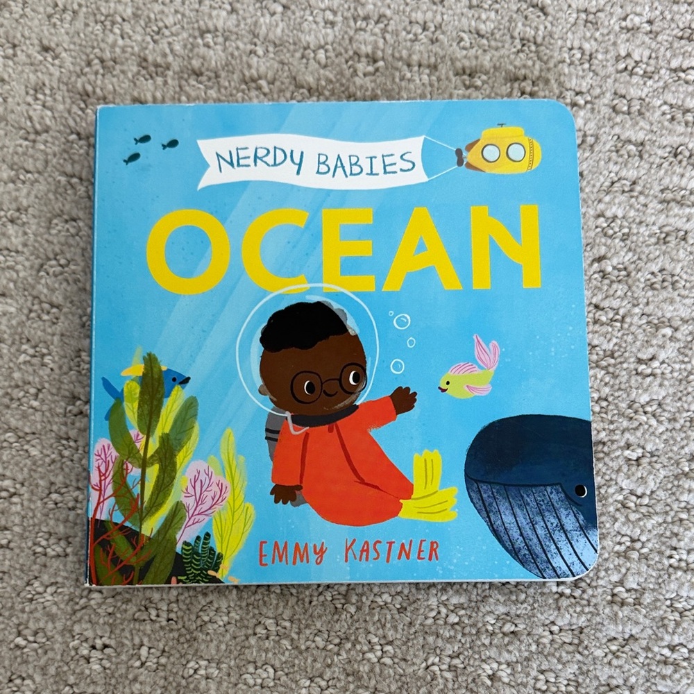 NERDY BABIES Board Book Set - Insects, Space, Ocean, Rocks, Weather - Picture 8 of 11